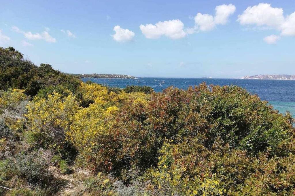 Appartamento con Giardino 2/9 - Porto Pollo Esterno foto