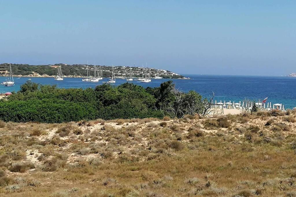 Appartamento con Giardino 2/9 - Porto Pollo Esterno foto
